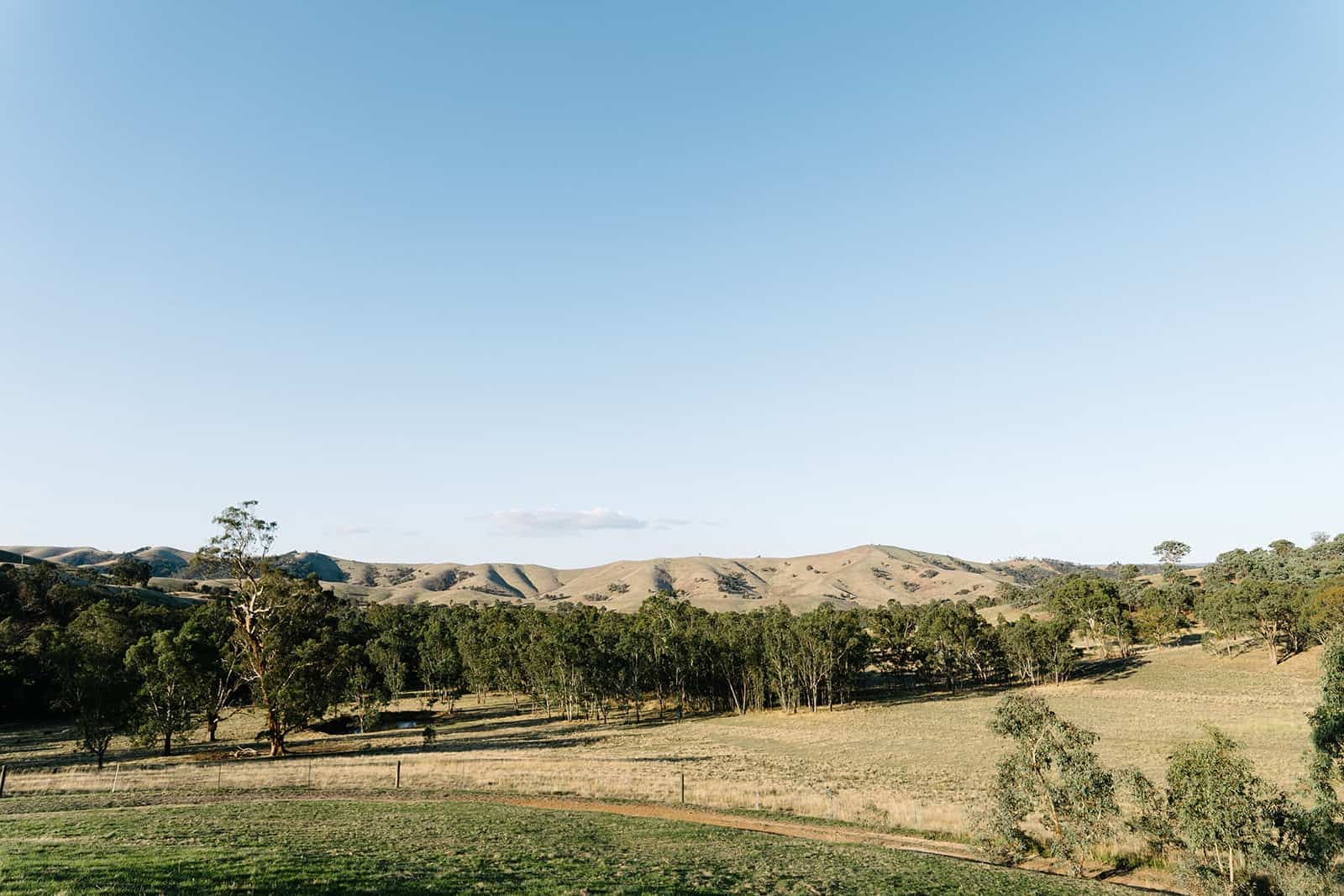 Gallery image 4 - Tree Trails Hotel / Murrindindi Executive Retreat
