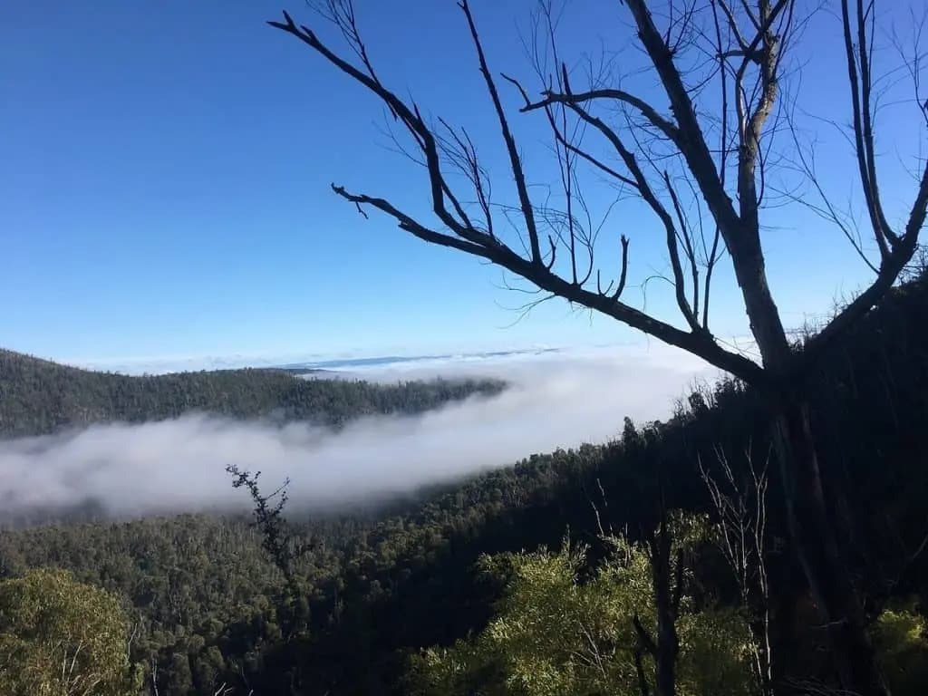 Waterfalls and forest scenery at Murrindindi Scenic Reserve