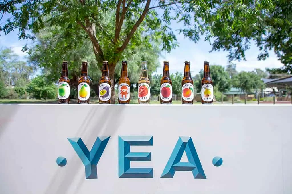 Wine tasting and local winery experiences around Yea