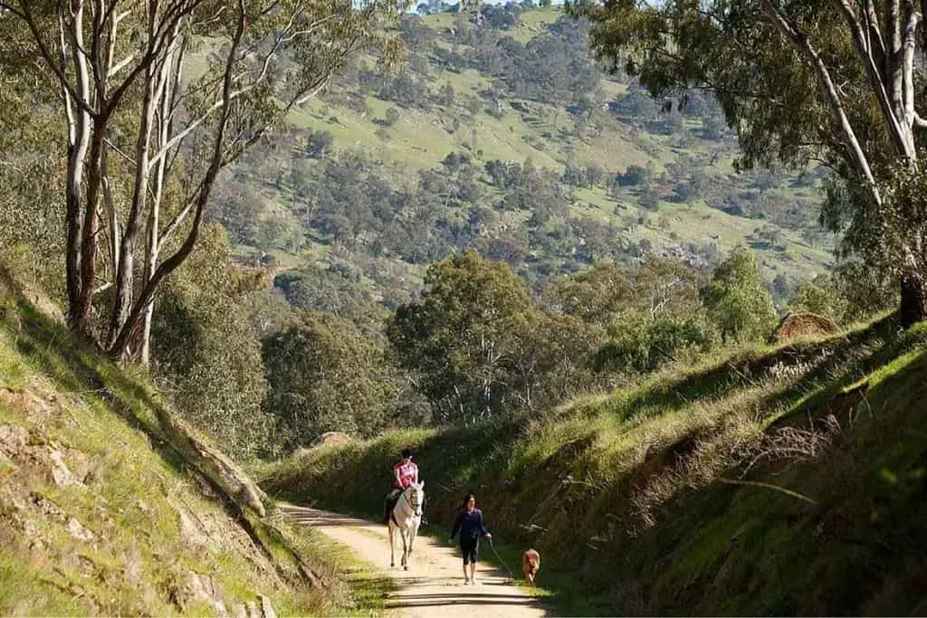 Scenic views along the Rail Trail in Victoria
